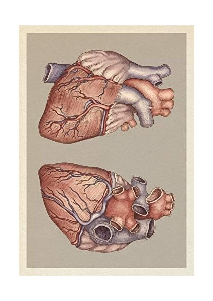 Postcard Box modelleri