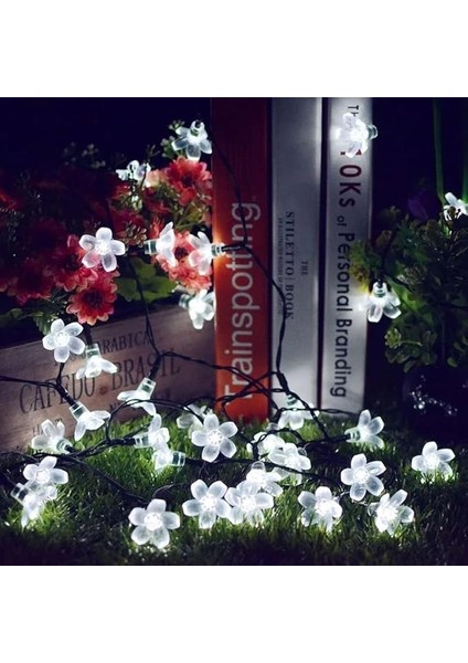 Solar Güneş Enerjili Rgb Gökkuşağı 30 LED Çiçek Zinciri Kiraz Çiçeği IP65 Su Geçirmez Solar Işık Zinciri Dış Mekan Bahçe Veranda Avlu Çardak Noel Ağacı Partiler (Rgb Gökkuşağı) indirimleri