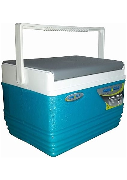 Thermoware Soğutucu Çanta 4,5 Litre Mini Kamp Spor Mavi 21 x 20 x 16 cm modelleri