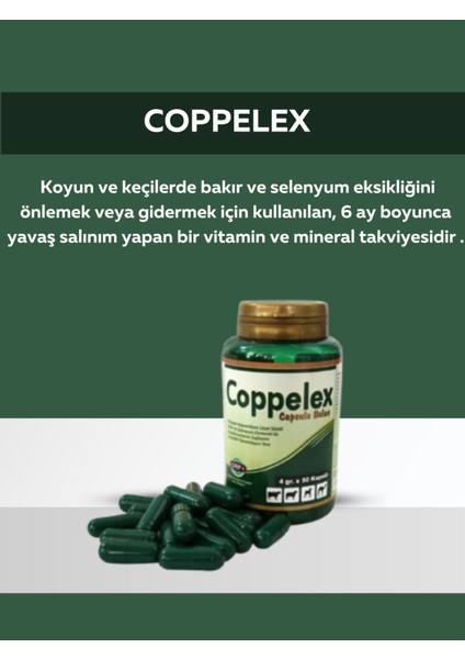 Coppolex Capsule Bolus 50 Kapsül Bakır ve Selenyum Bolus