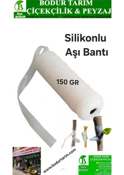 Bulancak 150 Gr Aşı Bağlama Silikonlu Bantı Fidan-Fide-Çiçek