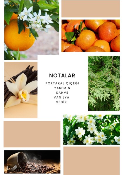 Ixora K336 Purple Edp Kadın Parfüm 50 ml fiyatları