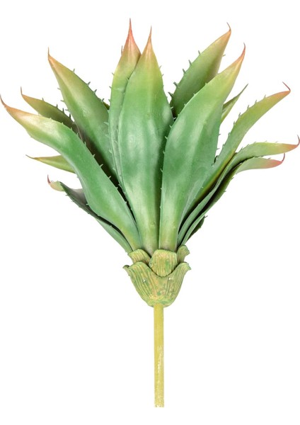 Yapay Kaktüs Sukulent Yeşil 30 cm