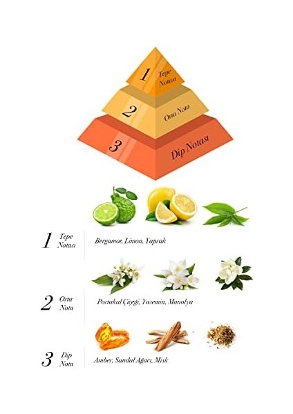Alya Egzotic Leaves Bambu Çubuklu Oda Kokusu 100 ml