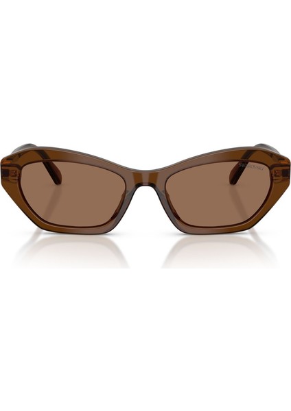 Güneş Gözlüğü SK6048 54 108473 fırsatları