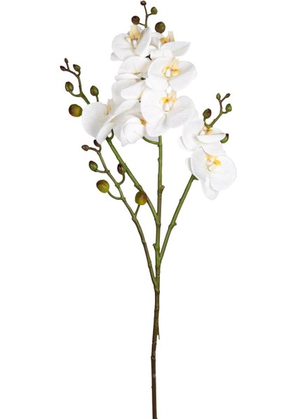 Orkide Gerçek Dokulu Beyaz 80 Cm.