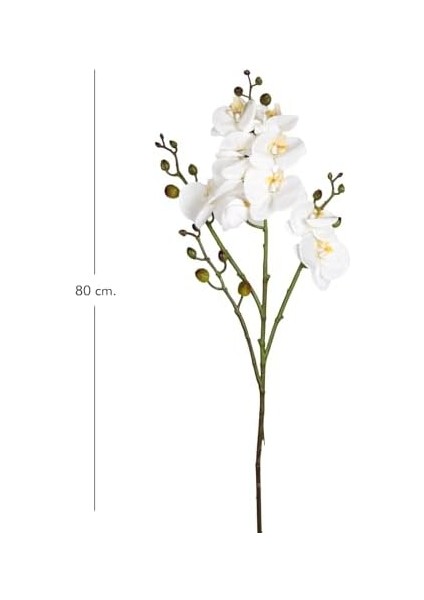 Orkide Gerçek Dokulu Beyaz 80 Cm. fiyatları