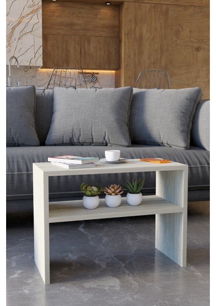 Modern Orta Sehpa – Çok Amaçlı Dikdörtgen Tasarım, Alt Raflı Salon Sehpası, Dekoratif Yan Sehpa modelleri