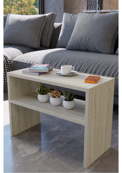 Modern Orta Sehpa – Çok Amaçlı Dikdörtgen Tasarım, Alt Raflı Salon Sehpası, Dekoratif Yan Sehpa fırsatları