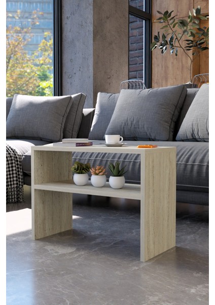 Modern Orta Sehpa – Çok Amaçlı Dikdörtgen Tasarım, Alt Raflı Salon Sehpası, Dekoratif Yan Sehpa indirimleri