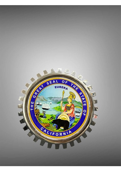 Tırtır Panjurlu Döküm Vidalı California