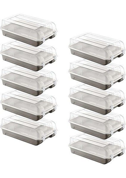 10'lu Set Kadın Terra Ayakkabı Kutusu