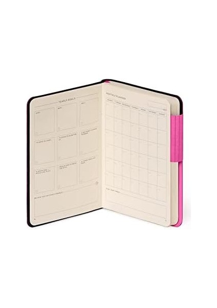 My Küçük Small Çizgili Begonvil fiyatları