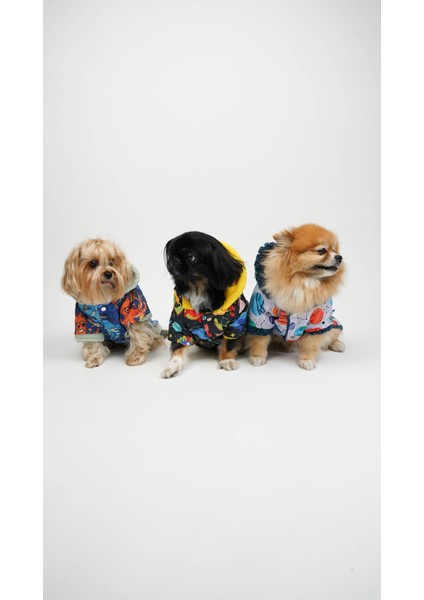 Köpek Kedi Yağmurluk Ocean