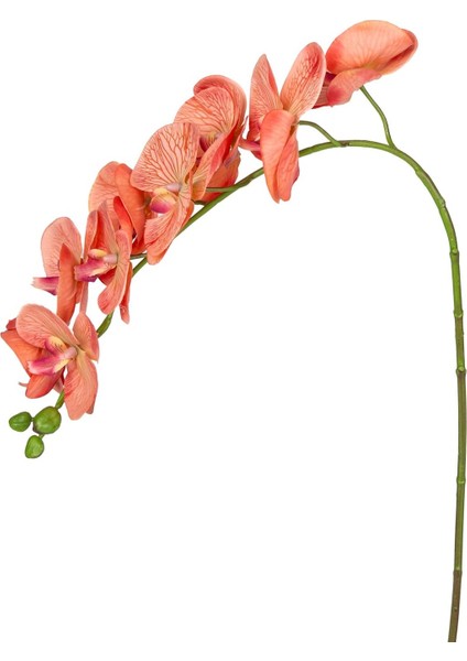 Orkide Gerçek Dokulu Somon 95 Cm.