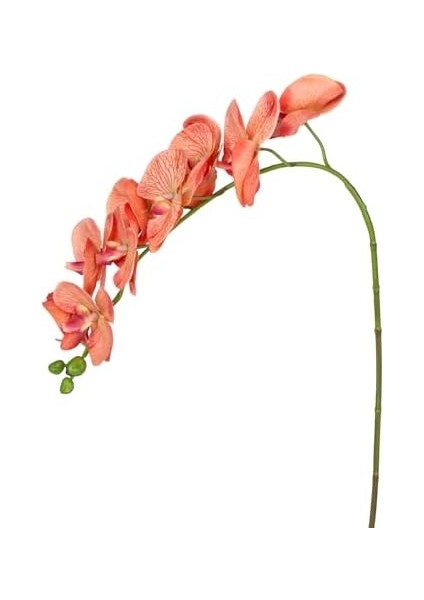 Orkide Gerçek Dokulu Somon 95 Cm. fiyatları