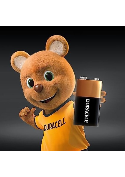 9V Alkalin Pil (1&apos;li Paket) 6LR61/MN1604 fiyatları