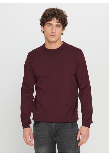 Bisiklet Yaka Standart Bordo Erkek Kazak ACE043261432_BRD