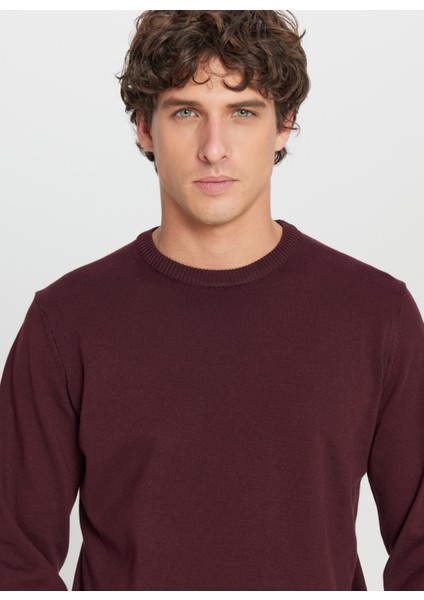 Bisiklet Yaka Standart Bordo Erkek Kazak ACE043261432_BRD fırsatları