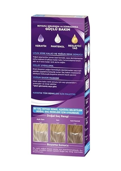 Palette Göz Alıcı Renkler 12-21 Gümüş Sarı fiyatları