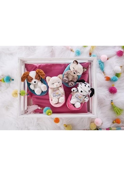 47893 Soft Basket 12 cm – Sleeping Pets Cuddly Toy Siamese Cats For Girls, Boys & Babies – Fluffy Stuffed Cuddle, Play & Sleep With – Cosy Plush Animals, Paws, Beige fırsatları