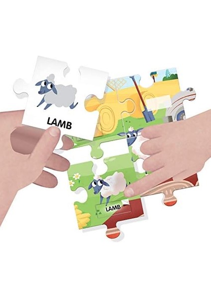 IT20997 Kutu Oyunu, Siyah fiyatları