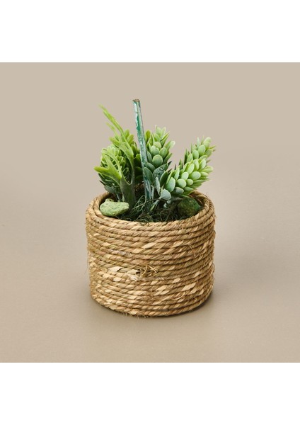 Natürel Çiçek - Asorti - 15 cm