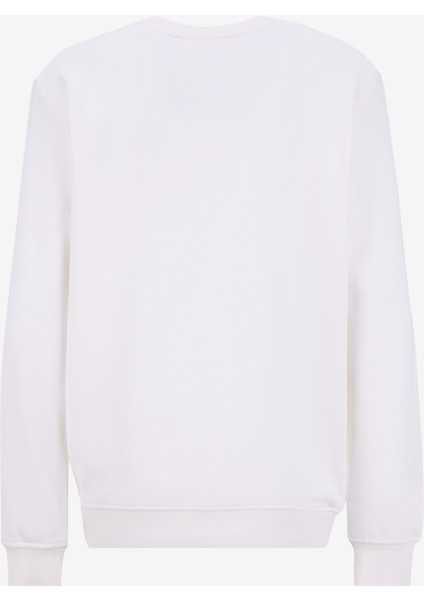 Bisiklet Yaka Nakışlı Ekru Erkek Sweatshırt J5WM-SWT7571 fiyatları