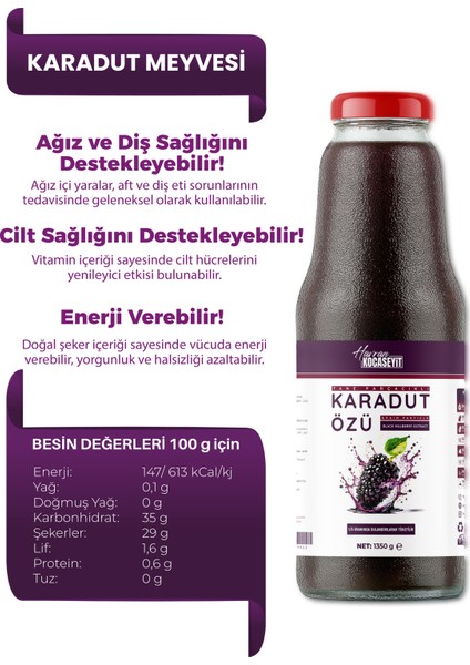 Tane Parçacıklı Karadut Özü 1,3 kg fiyatları