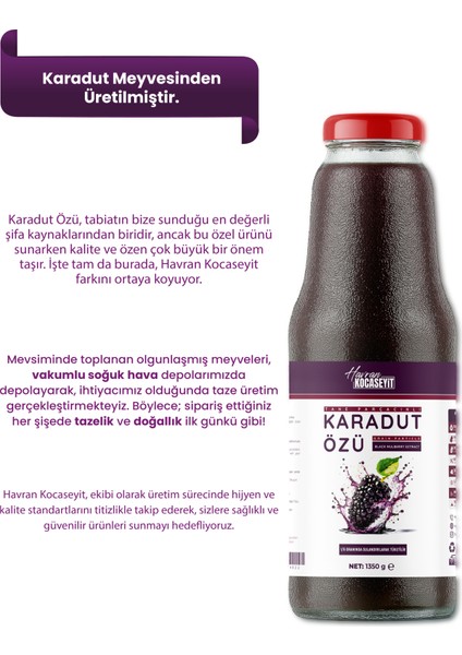 Tane Parçacıklı Karadut Özü 1,3 kg fırsatları