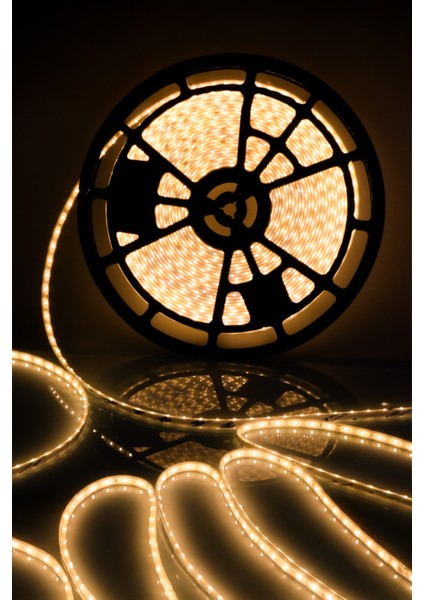 20 mt Dış Mekan IP68 Havuz Bahçe Şerit LED