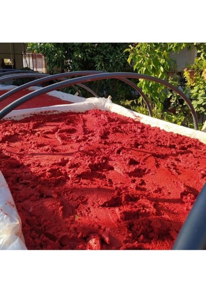 Ev Yapımı Tatlı Biber Salçası 2 kg modelleri