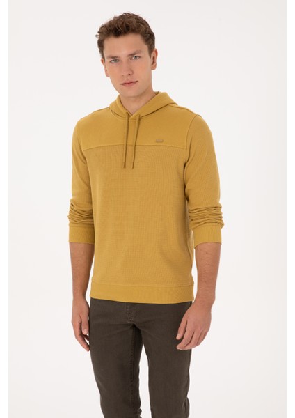 Erkek Petrol Sweatshirt 50315526-VR151