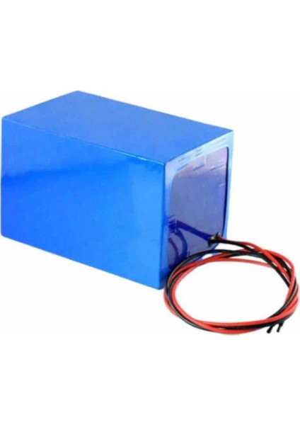 Zeytin Silkeme Makinası Bataryası 36 Volt 18