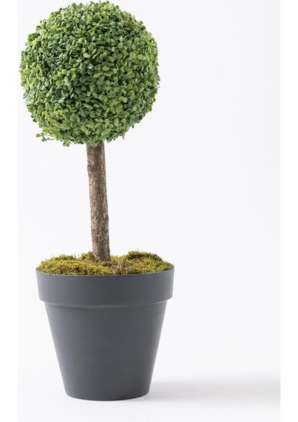 Yapay Top Şimşir Ağacı Tekli 70 cm