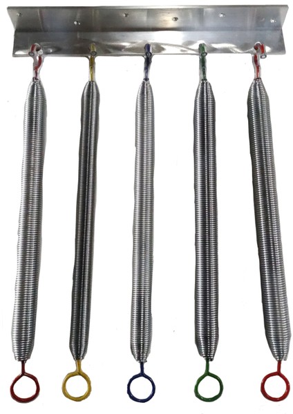 Pilates Reformer 5'li Taşıyıcı Yay Seti fiyatları