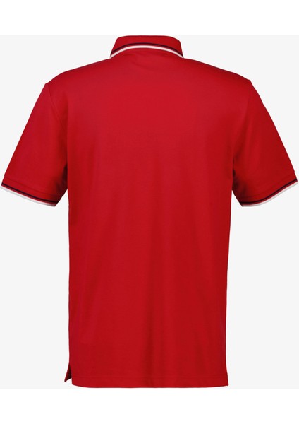 Erkek Kırmızı Regular Fit Polo fiyatları