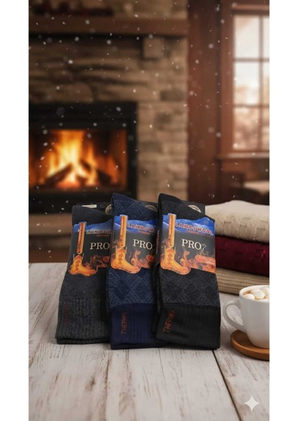 Havlu Lambswool (Yün) Thermal Erkek Çorap, Dikişsiz Burun, Asorti , 3'lü Paket modelleri