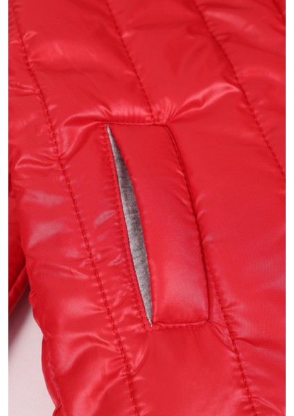 Desenli Mont fiyatları