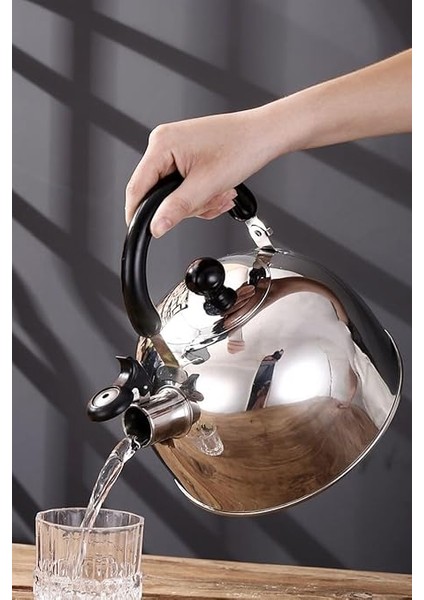 Çelik 3000 ml Düdüklü Çaydanlık Su Isıtıcısı CIN727 fiyatları