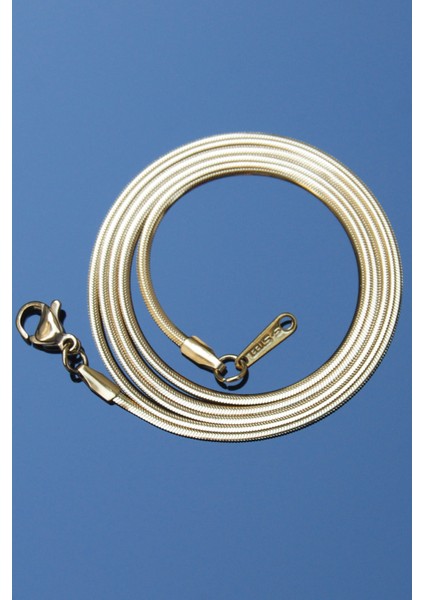 Çelik Italyan Yassı Yılan Kolye 1 Mm Altın Renk | Kararmaz , Unisex , 2 Yıl Garantili fiyatları