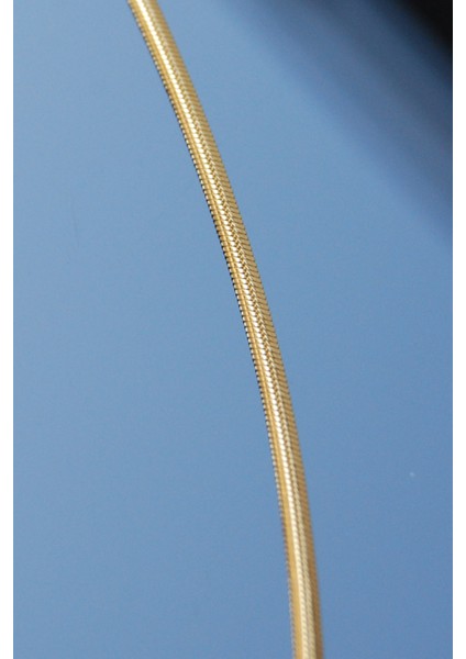 Çelik Italyan Yassı Yılan Kolye 1 Mm Altın Renk | Kararmaz , Unisex , 2 Yıl Garantili indirimleri