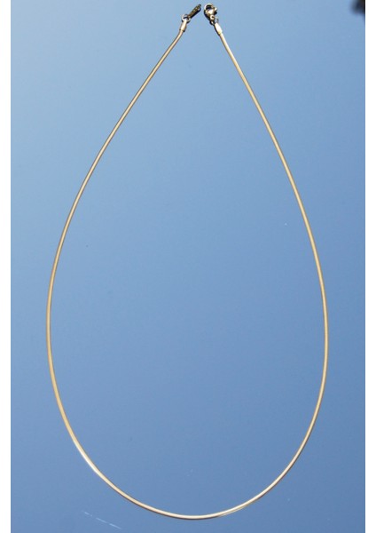 Çelik Italyan Yassı Yılan Kolye 1 Mm Altın Renk | Kararmaz , Unisex , 2 Yıl Garantili