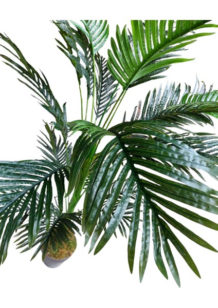 Yapay Areka 180 cm 20 Geniş Yapraklı Dekoratif Ağaç modelleri