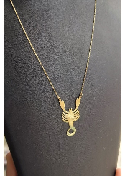 925 Ayar Gümüş 24 Ayar Altın Kaplama Akrep Kolye