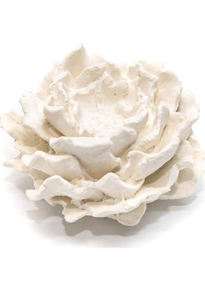 ml Oda Kokusu Için Ekru Gül Yedek Fitilli Taş