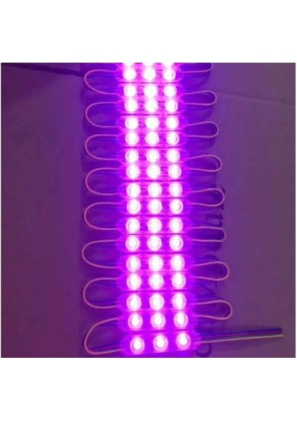 1.5W Mercekli Pembe Reklamcı Modül LED Parmak LED Lamba 12 Volt 20 Adet fiyatları