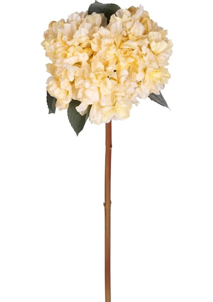 Ortanca Kurumuş Efektli Sarı 65 Cm.