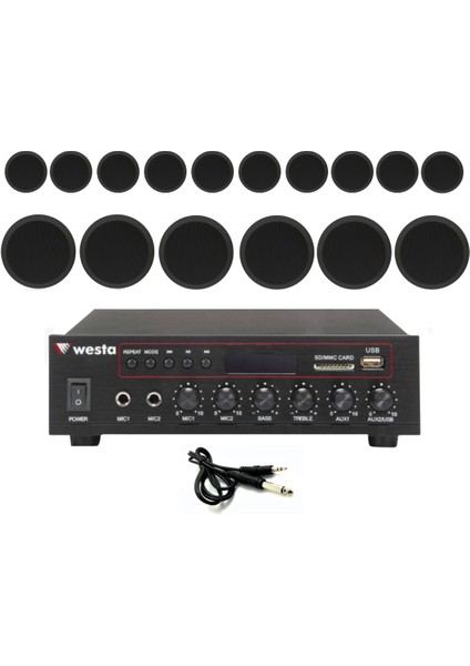 16’lı Siyah Tavan Hoparlörlü 100V Anfi Ses Sistemi | Kafe Mağaza Ofis Müzik Seti