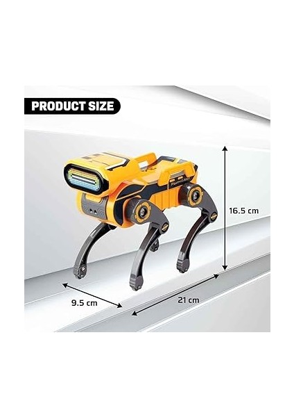 Express Sesli ve Işıklı Uzaktan Kumandalı Robot modelleri